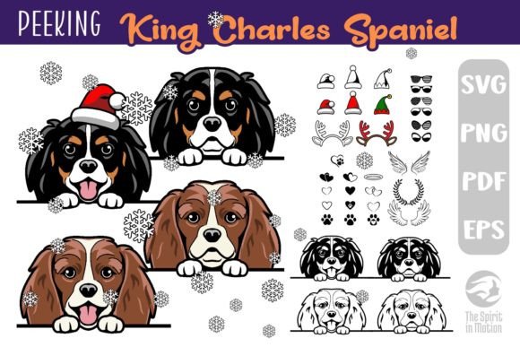 Download King Charles Spaniel PNG &amp; SVG Cutfiles - Png Collection